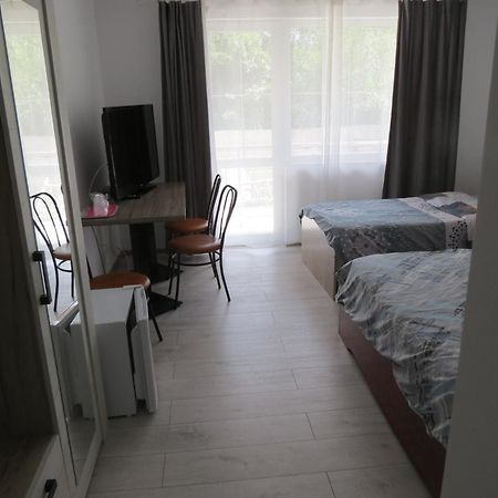Pensiunea Cetina Brad  Exteriér fotografie