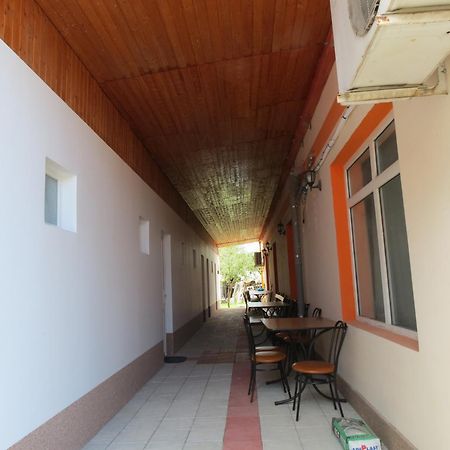 Pensiunea Cetina Brad  Exteriér fotografie
