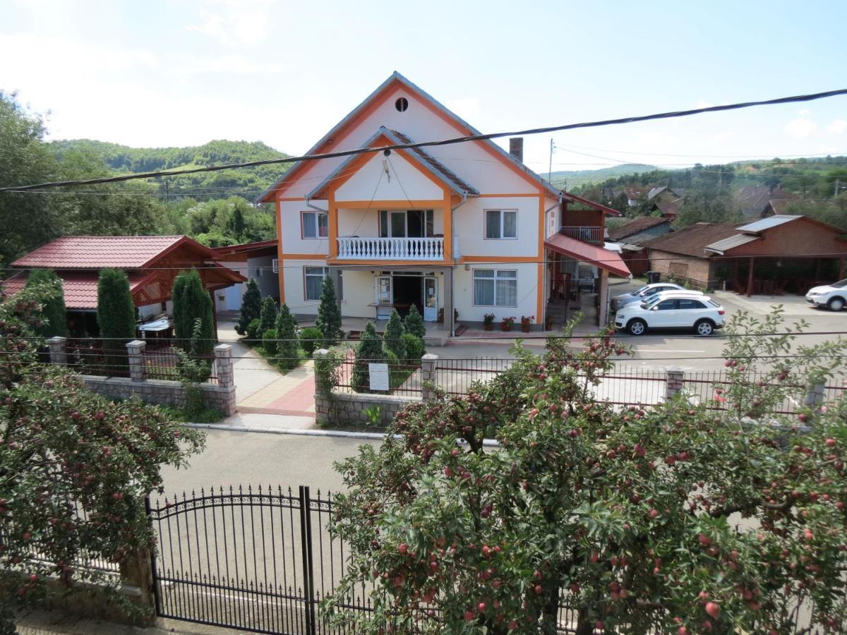 Pensiunea Cetina Brad  Exteriér fotografie