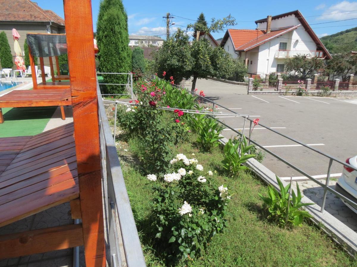 Pensiunea Cetina Brad  Exteriér fotografie