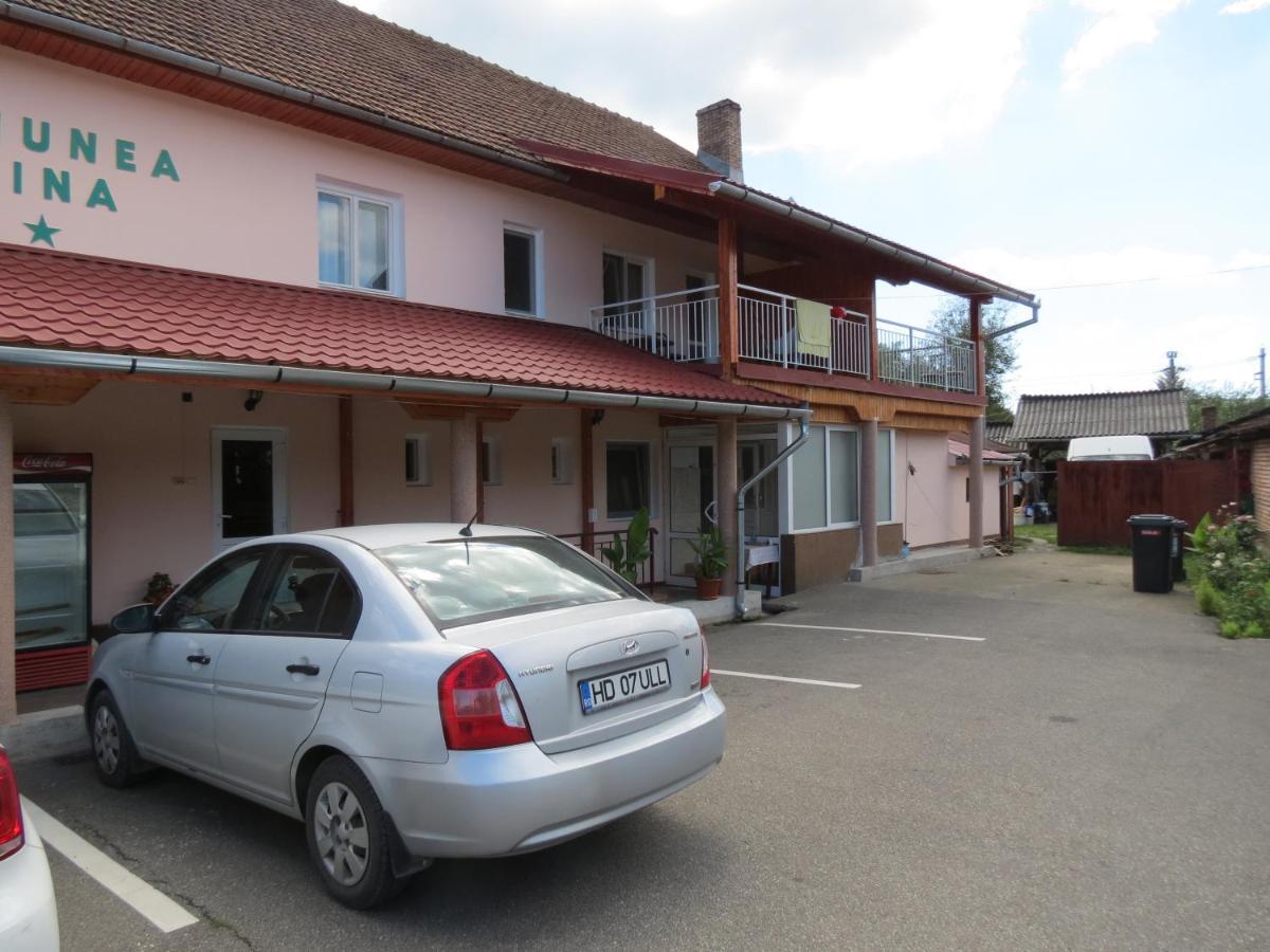 Pensiunea Cetina Brad  Exteriér fotografie