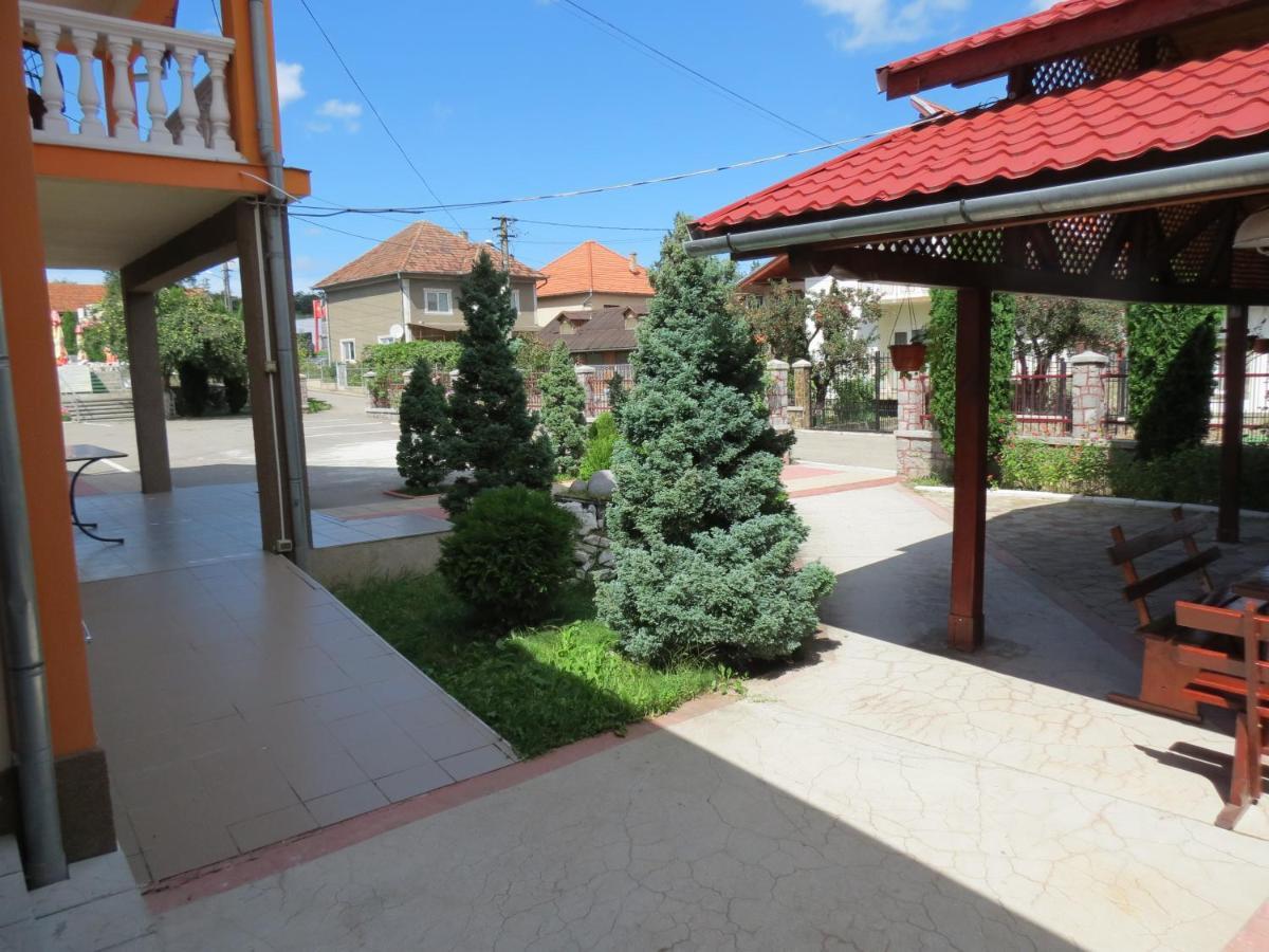 Pensiunea Cetina Brad  Exteriér fotografie
