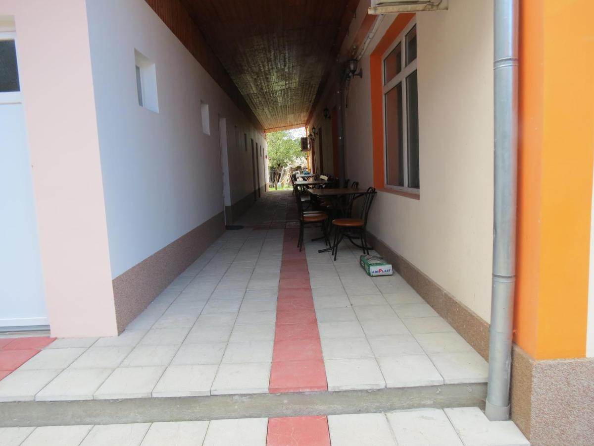 Pensiunea Cetina Brad  Exteriér fotografie