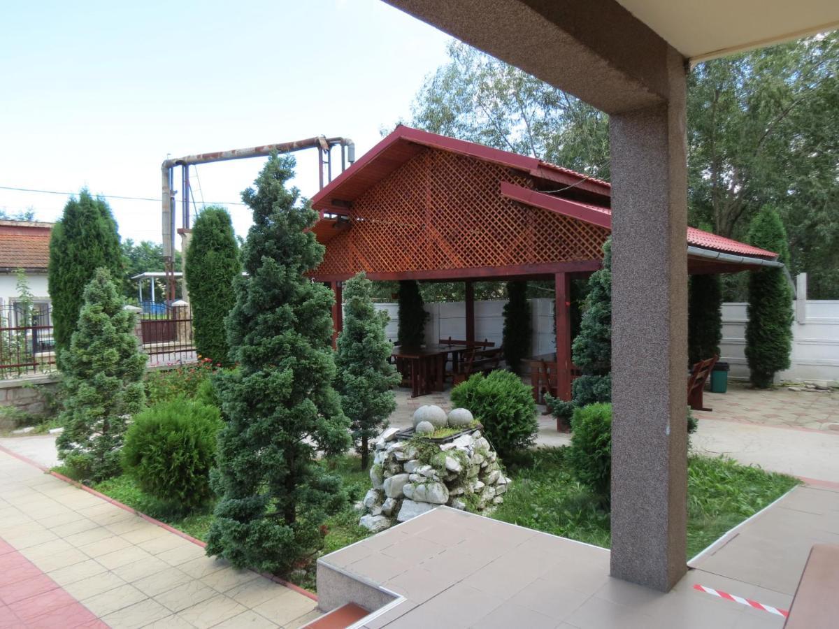 Pensiunea Cetina Brad  Exteriér fotografie