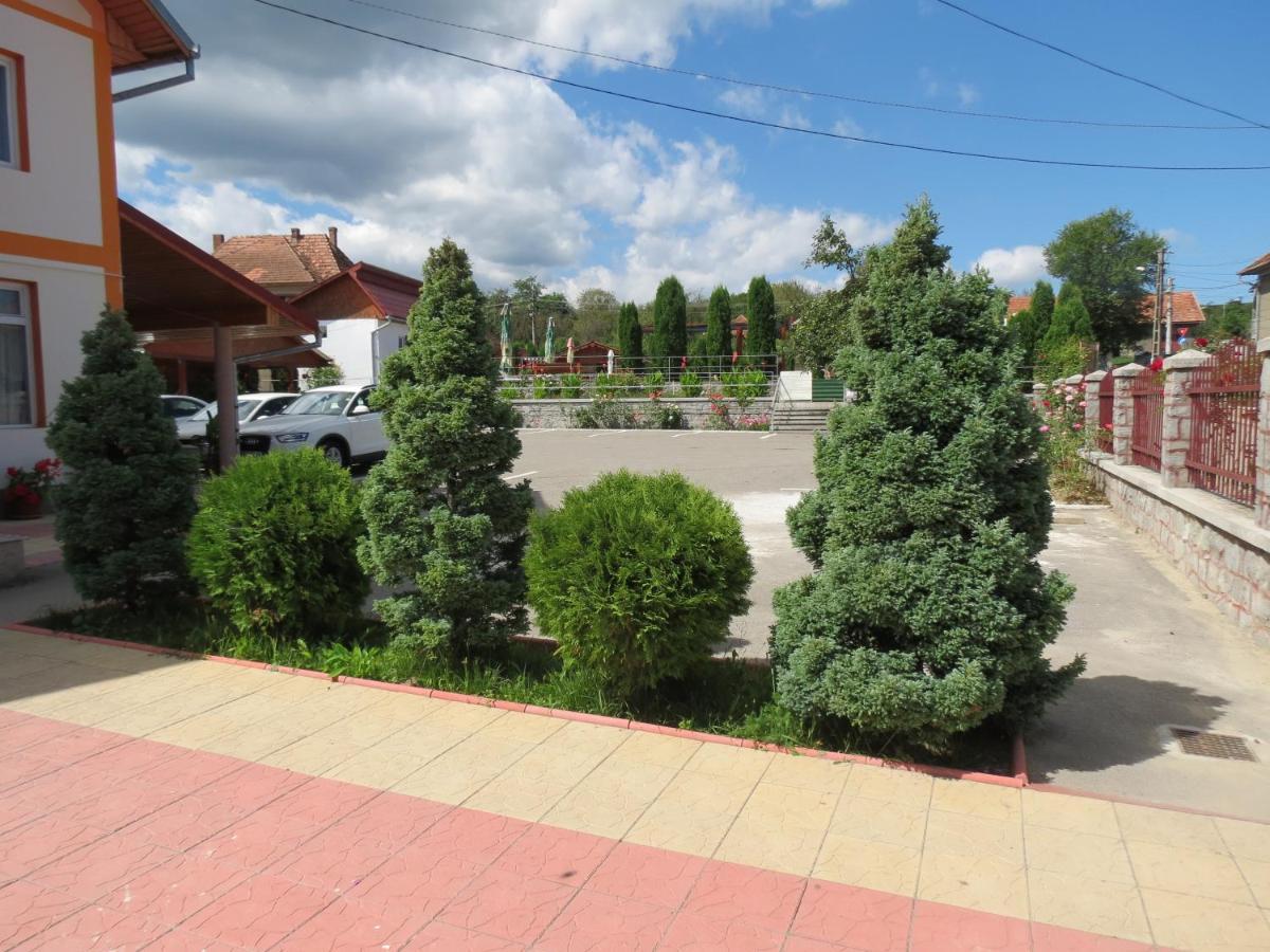 Pensiunea Cetina Brad  Exteriér fotografie
