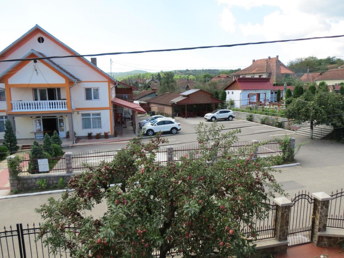 Pensiunea Cetina Brad  Exteriér fotografie