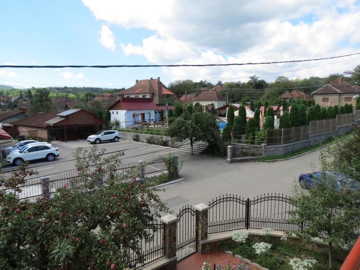 Pensiunea Cetina Brad  Exteriér fotografie