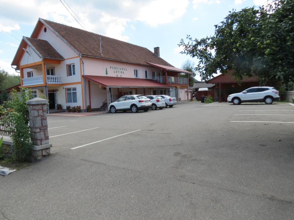 Pensiunea Cetina Brad  Exteriér fotografie