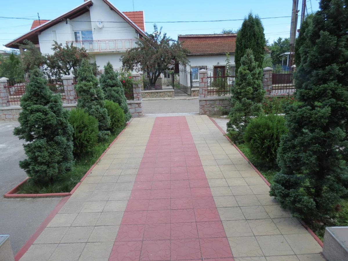 Pensiunea Cetina Brad  Exteriér fotografie