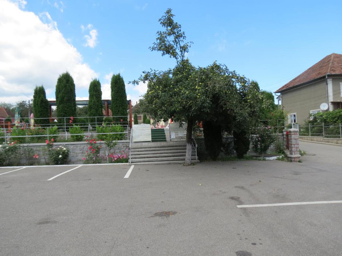Pensiunea Cetina Brad  Exteriér fotografie