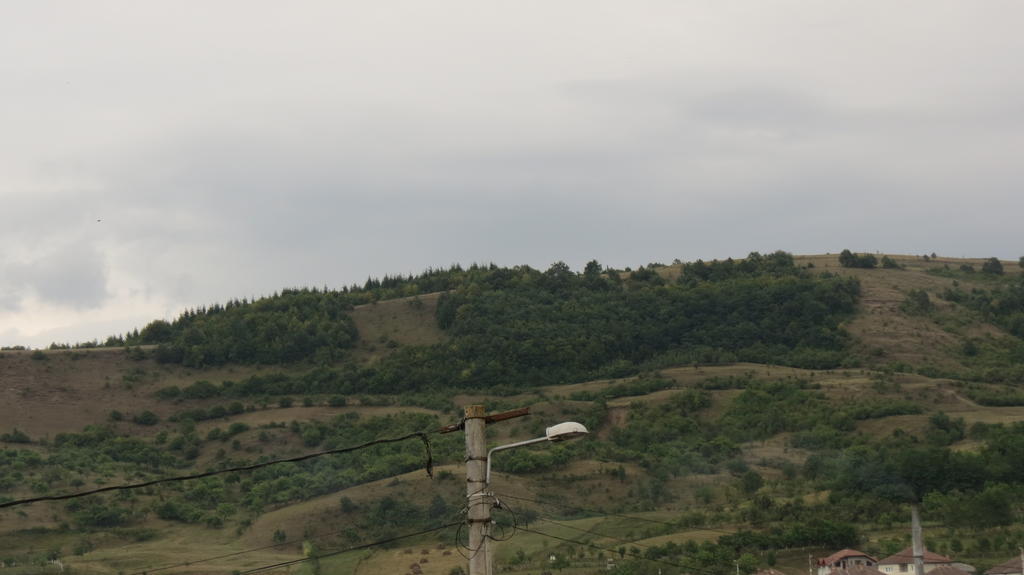 Pensiunea Cetina Brad  Exteriér fotografie