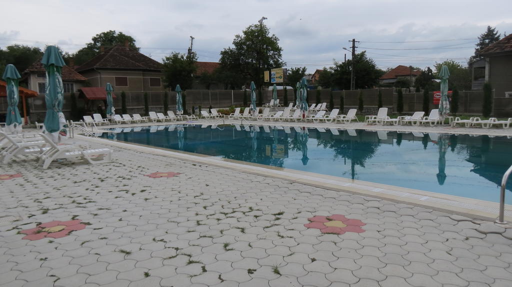 Pensiunea Cetina Brad  Exteriér fotografie