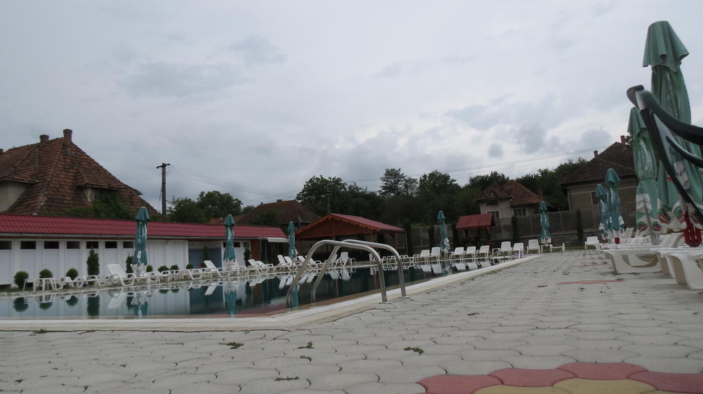 Pensiunea Cetina Brad  Exteriér fotografie