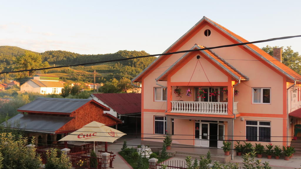 Pensiunea Cetina Brad  Exteriér fotografie