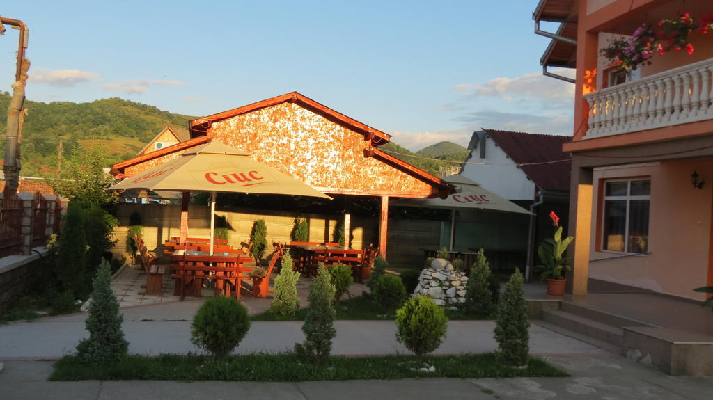 Pensiunea Cetina Brad  Exteriér fotografie