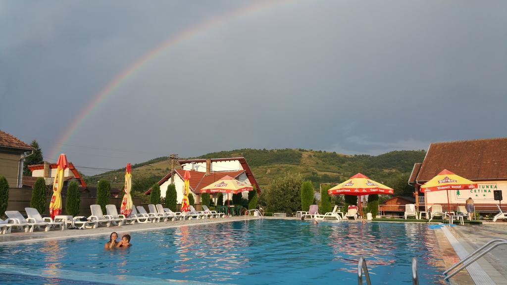 Pensiunea Cetina Brad  Exteriér fotografie